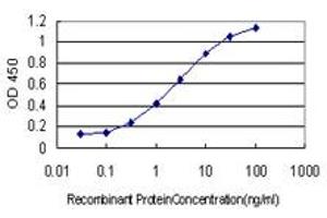 Detection limit for recombinant GST tagged GSTO1 is approximately 0. (GSTO1 抗体  (AA 121-209))