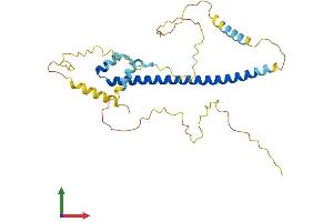 AlphaFold protein structure predicition of Human Recombinant AP1AR Protein, UniprotID Q63HQ0