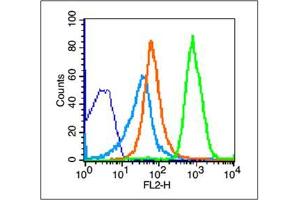 Image no. 2 for anti-Killer Cell Lectin-Like Receptor Subfamily K, Member 1 (KLRK1) (AA 121-219) antibody (ABIN730078)