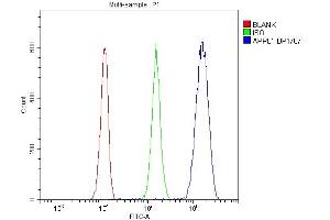 Flow Cytometry analysis of A549 cells using anti-APPL1 antibody (ABIN7602658).