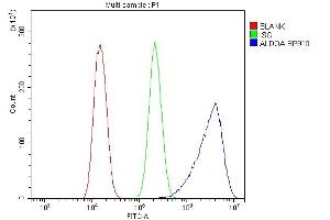 Flow Cytometry analysis of U20S cells using anti-ALDOA antibody (ABIN7601907). (ALDOA 抗体  (AA 50-364))