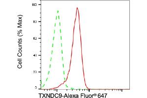 Flow cytometric analysis of TXNDC9 expression in HT- cells using TXNDC9 antibody (ABIN7800543), 1:2,000). (Recombinant TXNDC9 抗体)