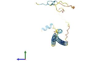 AlphaFold protein structure predicition of Human Recombinant ITGB3BP Protein, UniprotID Q13352