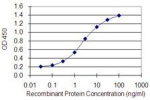 Detection limit for recombinant GST tagged GATA4 is 0. (GATA4 抗体  (AA 343-442))