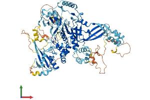 Protein Structure (PS) image for Ubiquitin Specific Peptidase 13 (Isopeptidase T-3) (USP13) (AA 1-863) protein (His tag) (ABIN7555920)