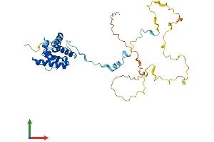 Protein Structure (PS) image for Calponin 3, Acidic (CNN3) (AA 1-330) protein (His tag) (ABIN7561246)