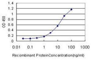 Detection limit for recombinant GST tagged MAGEA3 is approximately 0. (MAGEA3 抗体  (AA 44-114))