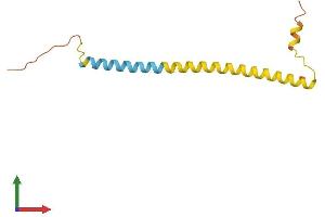 AlphaFold protein structure predicition of Human Recombinant LINC00523 Protein, UniprotID Q86TU6