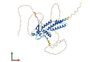 AlphaFold protein structure predicition of Mouse Recombinant Tfap2e Protein, UniprotID Q6VUP9