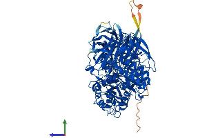 Protein Structure (PS) image for Glucosidase, Alpha, Neutral C (GANC) (AA 1-914) protein (His tag) (ABIN7547818)