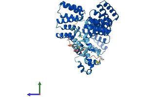Protein Structure (PS) image for Stress-Induced-phosphoprotein 1 (STIP1) (AA 1-543) protein (His tag) (ABIN7546478)