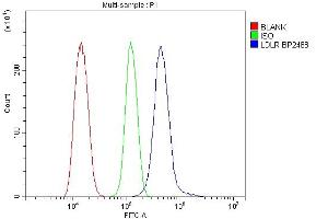 Flow Cytometry analysis of NRK cells using anti-LDLR antibody (ABIN7601438).