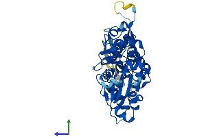 AlphaFold protein structure predicition of Mouse Recombinant Actr1b Protein, UniprotID Q8R5C5