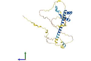 Protein Structure (PS) image for T-Cell Leukemia Homeobox 3 (TLX3) (AA 1-291) protein (His tag) (ABIN7562491)