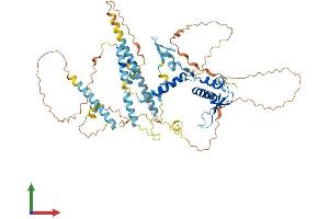 Protein Structure (PS) image for Non-SMC Condensin II Complex, Subunit H2 (NCAPH2) (AA 1-607) protein (His tag) (ABIN7558859)