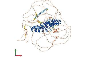 Protein Structure (PS) image for Catenin (Cadherin-Associated Protein), delta 2 (Neural Plakophilin-Related Arm-Repeat Protein (CTNND2) (AA 1-1247) protein (His tag) (ABIN7562388)