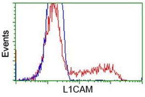 Flow Cytometry (FACS) image for anti-L1 Cell Adhesion Molecule (L1CAM) antibody (ABIN1499082) (L1CAM 抗体)