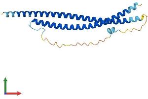 Protein Structure (PS) image for Synaptosomal-Associated Protein, 25kDa (SNAP25) (AA 1-206) protein (His tag) (ABIN7546108)