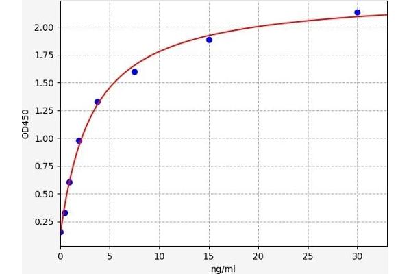 C4BPB ELISA 试剂盒