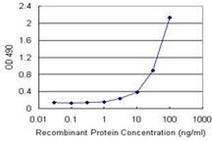 Sandwich ELISA detection sensitivity ranging from 3 ng/mL to 100 ng/mL. (CCL2 (人) Matched Antibody Pair)