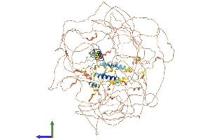 Protein Structure (PS) image for B-Cell CLL/lymphoma 9-Like (BCL9L) (AA 1-1499) protein (His tag) (ABIN7552664)