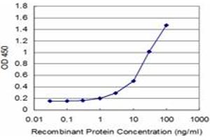 Detection limit for recombinant GST tagged GCLM is approximately 1ng/ml as a capture antibody. (GCLM 抗体  (AA 1-274))
