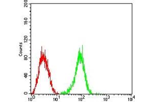 Flow cytometric analysis of HL-60 cells using FCGRT mouse mAb (green) and negative control (red). (FcRn 抗体  (AA 24-297))