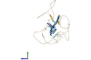 Protein Structure (PS) image for SRY (Sex Determining Region Y)-Box 13 (SOX13) (AA 1-622) protein (His tag) (ABIN7546220)