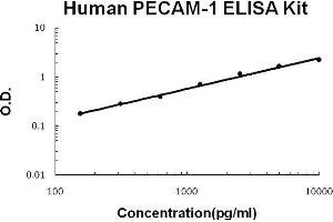 Human PECAM-1/CD31 PicoKine ELISA Kit standard curve (CD31 ELISA 试剂盒)