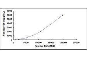 ELISA image for HtrA Serine Peptidase 1 (HTRA1) CLIA Kit (ABIN1081533)