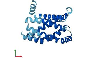 AlphaFold protein structure predicition of Mouse Recombinant Mpv17 Protein, UniprotID P19258