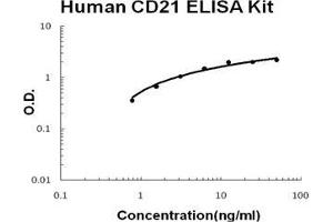 Human CD21/CR2 PicoKine ELISA Kit standard curve (CD21 ELISA 试剂盒)