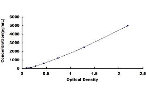 Typical standard curve (LYN ELISA 试剂盒)