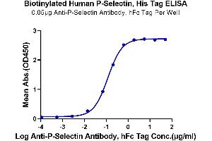 Immobilized Anti-P-selectin Antibody, hFc Tag at 0. (P-Selectin Protein (His-Avi Tag,Biotin))