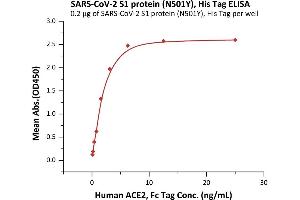 ELISA image for SARS-CoV-2 Spike S1 (N501Y) (Active) protein (His tag) (ABIN7013272)