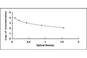 Typical standard curve (ECE2 ELISA 试剂盒)