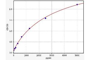Interleukin 32 (IL32) ELISA Kit