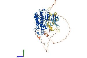 Protein Structure (PS) image for Cyclin-Dependent Kinase 17 (CDK17) (AA 1-523) protein (His tag) (ABIN7559430)