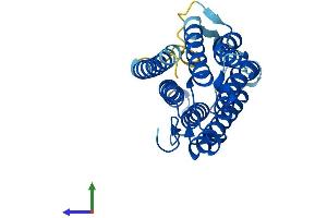 AlphaFold protein structure predicition of Human Recombinant SRD5A1 Protein, UniprotID P18405