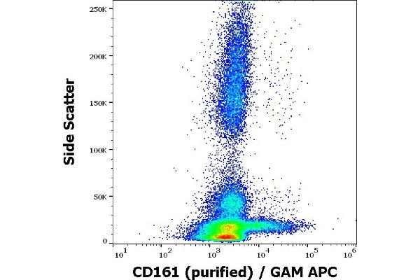 CD161 抗体