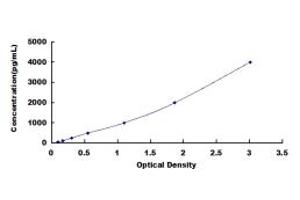 Typical standard curve (TIMP1 ELISA 试剂盒)