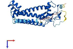 AlphaFold protein structure predicition of Human Recombinant ZDHHC24 Protein, UniprotID Q6UX98