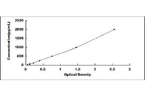 Typical standard curve (Iba1 ELISA 试剂盒)