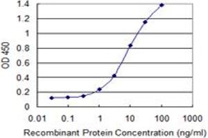 Detection limit for recombinant GST tagged VAMP5 is 0. (VAMP5 抗体  (AA 1-70))