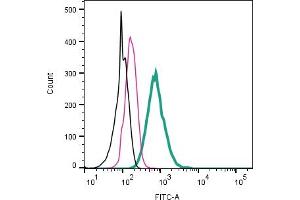 Cell surface detection of AXL by direct flow cytometry in live intact human  monocytic leukemia cells: + Rabbit IgG Isotype Control-FITC (ABIN7582044). (AXL 抗体  (Extracellular) (FITC))
