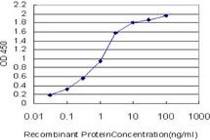 Detection limit for recombinant GST tagged HBZ is approximately 0. (HBZ 抗体  (AA 1-142))