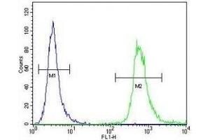 WDR3 antibody flow cytometric analysis of HeLa cells (green) compared to a negative control (blue). (WDR3 抗体  (AA 208-236))