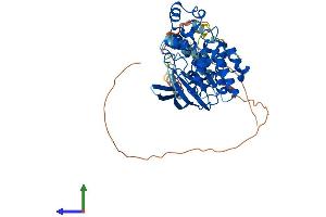 AlphaFold protein structure predicition of Mouse Recombinant Mapk10 Protein, UniprotID Q61831 (MAPK10 Protein (AA 1-464) (His tag))