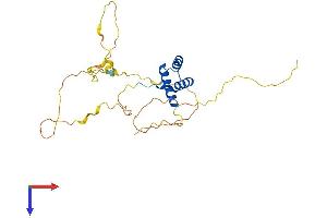 GSX1/GSH1 Protein (AA 1-264) (His tag)