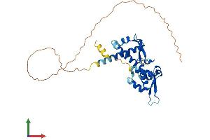 Protein Structure (PS) image for Melanoma Antigen Family A, 6 (MAGEA6) (AA 1-314) protein (His tag) (ABIN7549224)